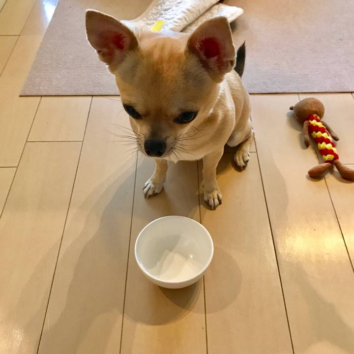 Bed1900c 3041 4252 beea 0ef6130167fe