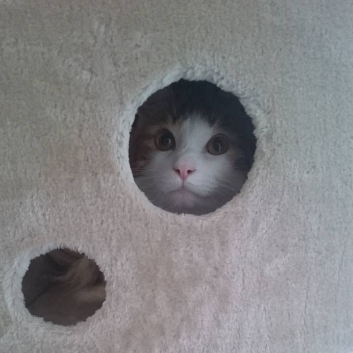 Bed19ec1 219c 4d5d 873b bb99c932d1ac