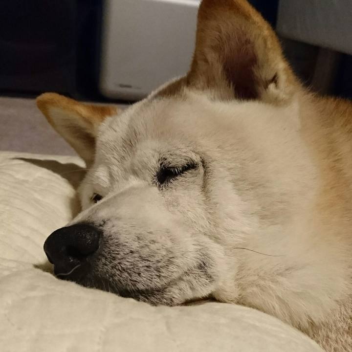 Bed1d990 fc19 45fe 933a 13976ccf60f7