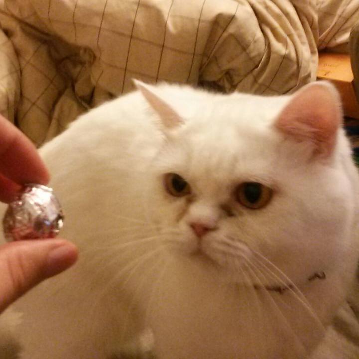 Bed268ff ed55 4f72 b6e8 7bb56c414964