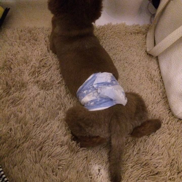 Bed2d178 eeba 499b 942a 1b8065ea3ef0