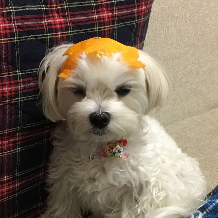 Bed2edd9 4226 4c85 a984 7048c8b36840