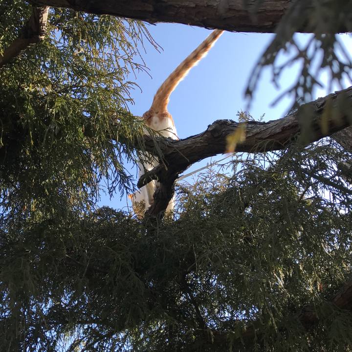 Bed30362 10de 4b28 94d8 12d0c28f38fe