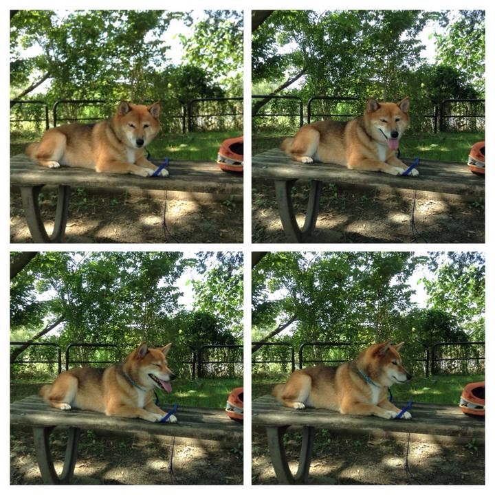 Bed37221 8df7 45cc b3f4 ac0704c1c39b