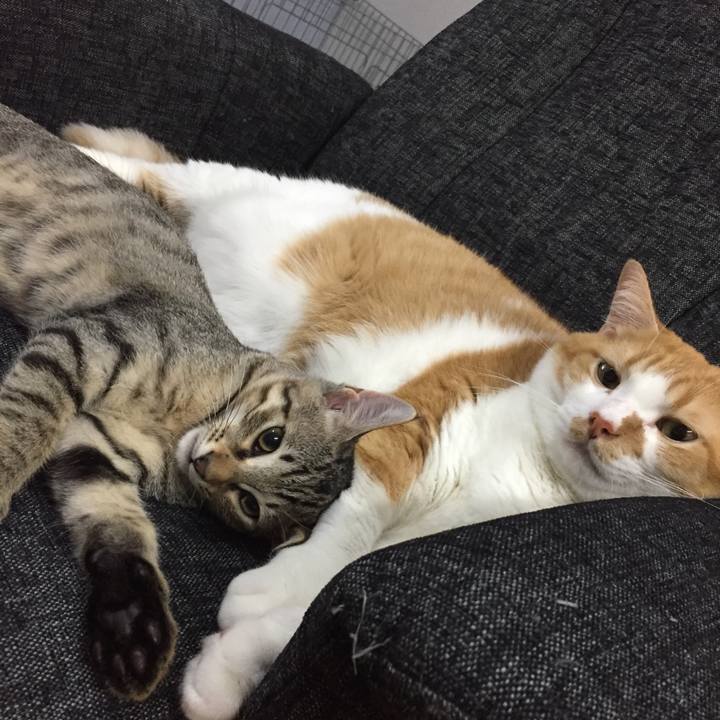 Bed3aabf 6cb0 4df1 b870 fa5676920cfb