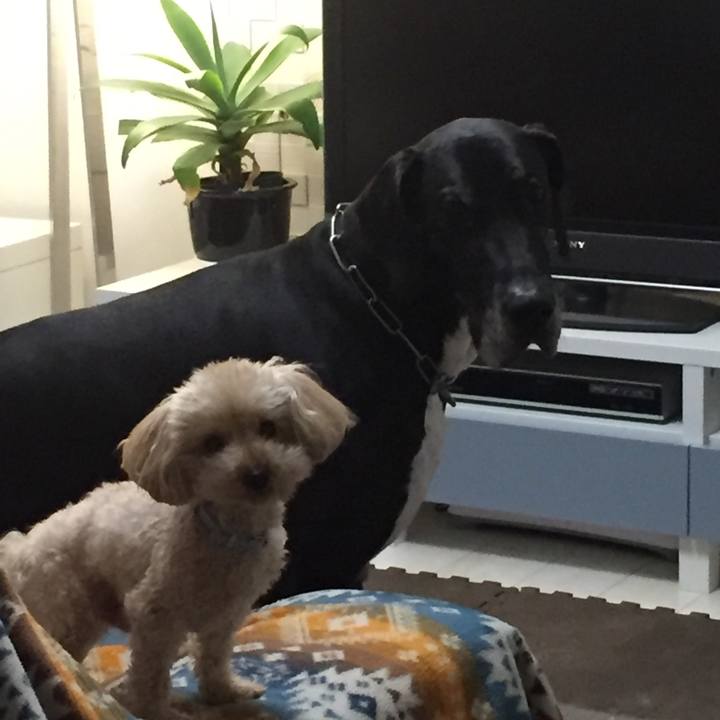 Bed49c70 a027 4ff0 a579 adee65c1b199