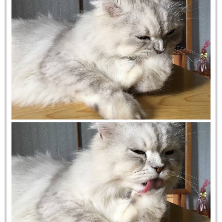 Bed4eae6 d3d4 4657 b04f 6888276ec94e