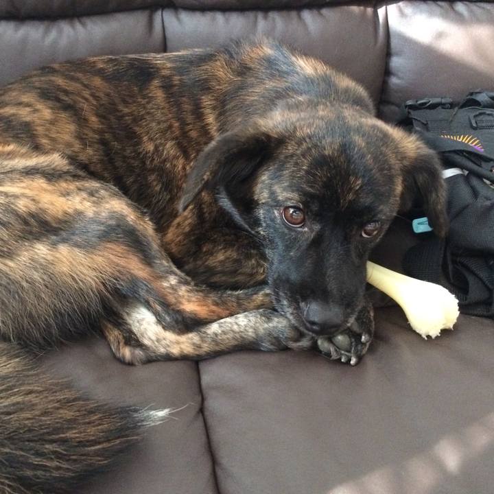 Bed5c787 817c 419a 8422 e4e56ac273e1