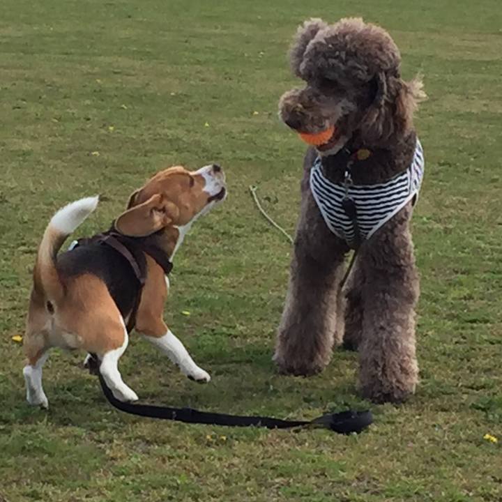 Bed61d5a 8cd6 4932 96b5 990d932526ff