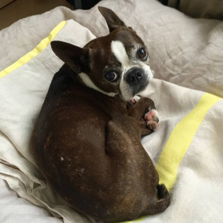 Bed646d8 20a6 4f48 a07a d35c4fd2d9e3