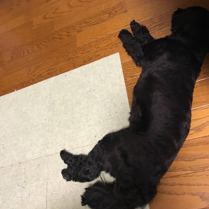 Bed6b410 c05d 4673 9175 a2874155e867