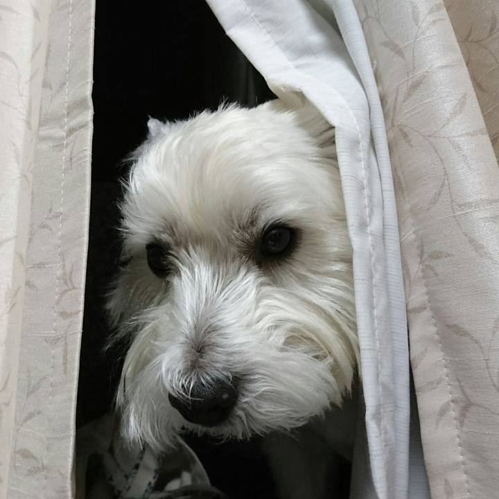 Bed71c2f fd9e 4461 b576 09b9e95a0778