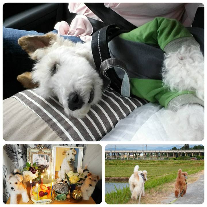 Bed7604c 0689 4b80 b71b d82ebe3ad002