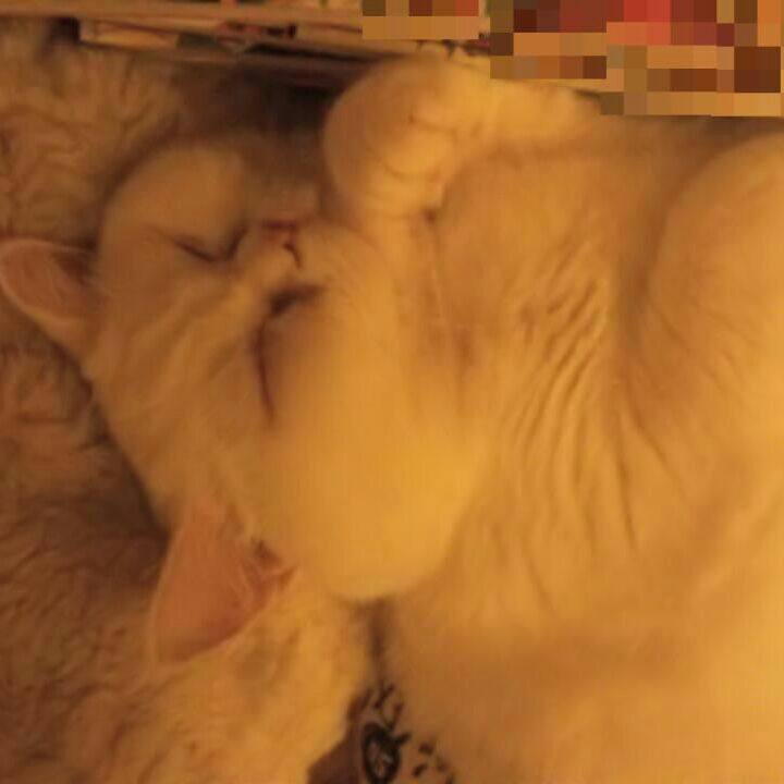 Bed787bb ed4a 4b2d b902 4ce78c461597