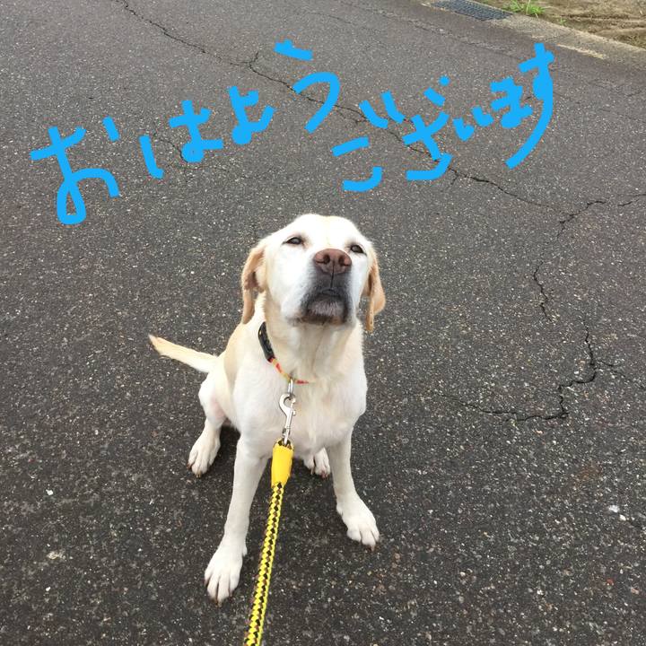 Bed8c6c7 c126 4696 95f0 42e794e93ed9