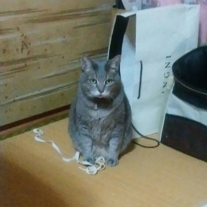 Bed8fd07 d66a 4069 8472 65c3297419d1