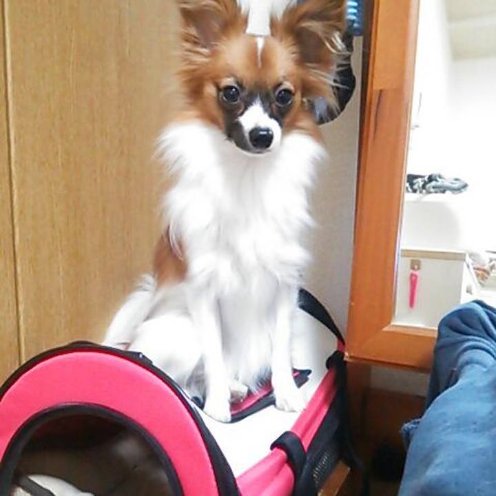 Bed9248a 553d 4d2f b914 82b5bda293df