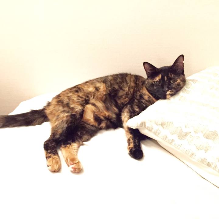 Bed9a36a c175 42e0 9181 4e4474205bc7