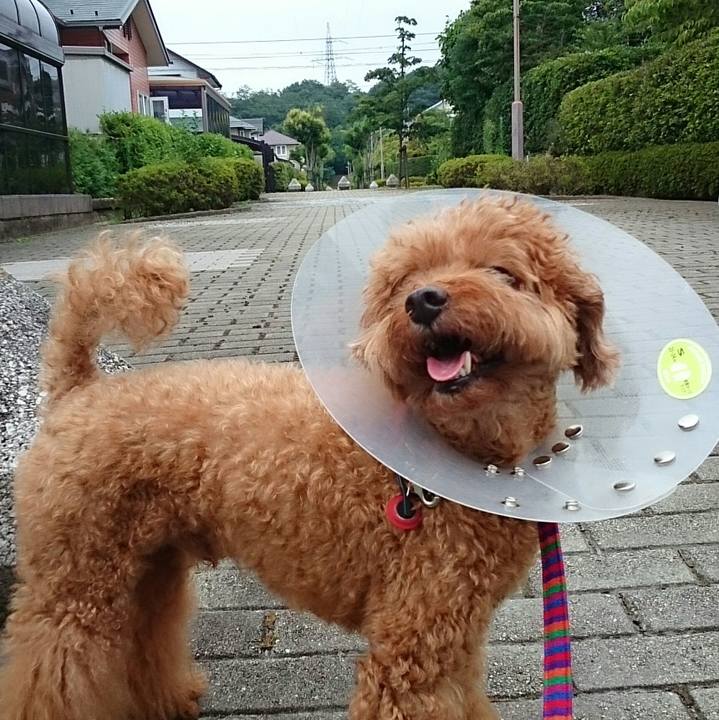 Bedac977 f6af 4775 ab86 30176860b514