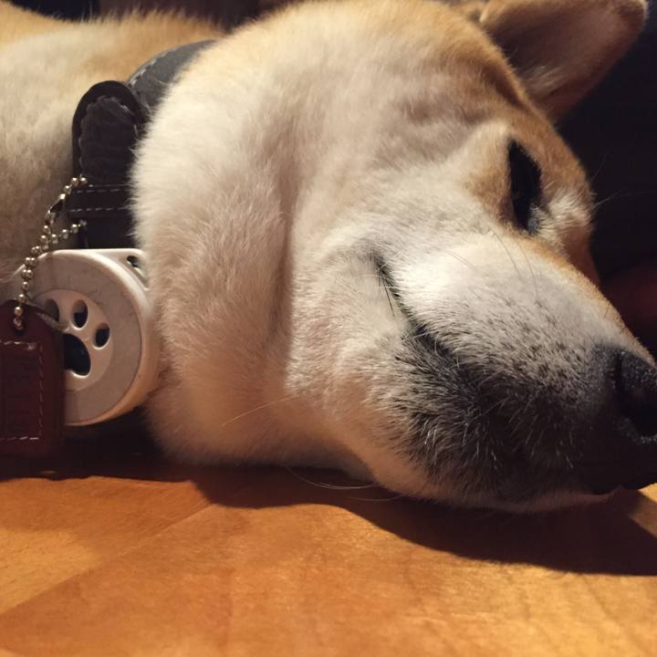 Bedaebca 3112 4f6d b566 f68a1edb62ff