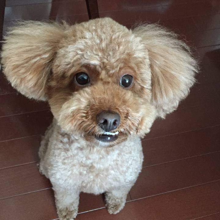 Bedaee84 3e48 437d a5e5 d79bb13f4044