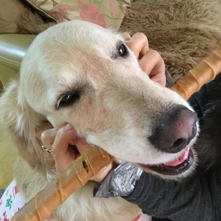 Bedbae1a 115f 4b57 a32a 2d19c01db10e