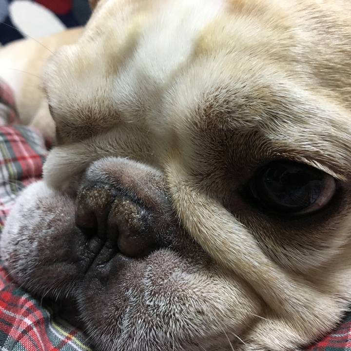 Bedc2242 9002 40eb bcb0 2bfedd8cfaeb