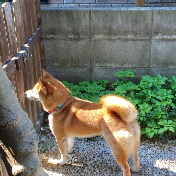 Bedcbc14 1ca8 4838 87a0 44740c08bdac