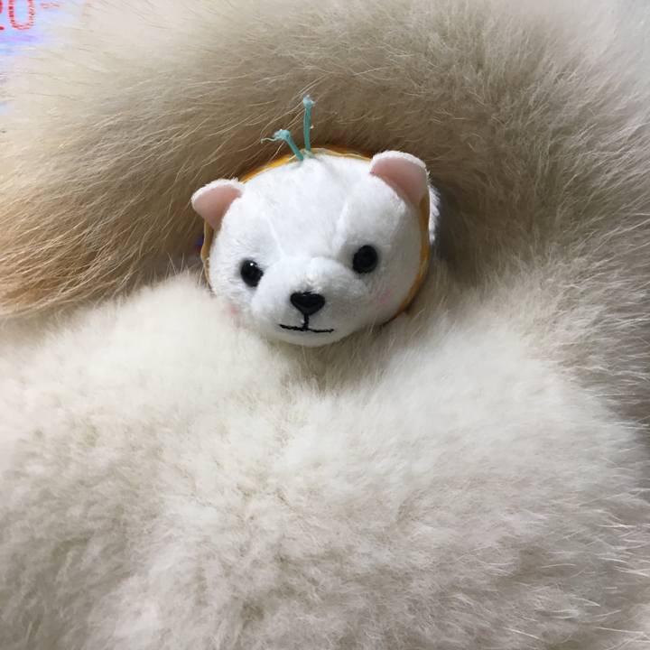 Bedcdf52 5367 4a4f 8b1d 35065f6b166b