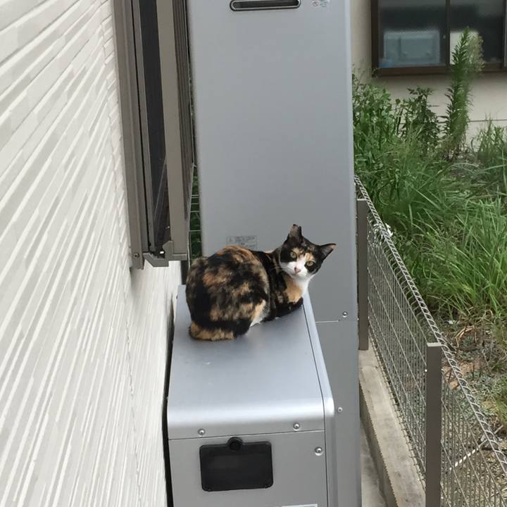 Bede1b90 d40b 40c7 b8b4 d4d5ec7bc8c0