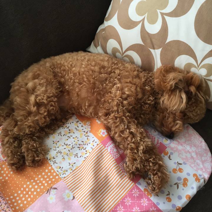 Bedee717 169b 444f 8c7a c1254bb5da39