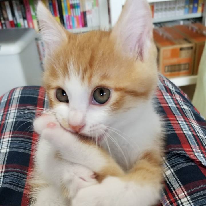 Bedefc2f 43c7 4c62 8c9f 2dbb2264699c