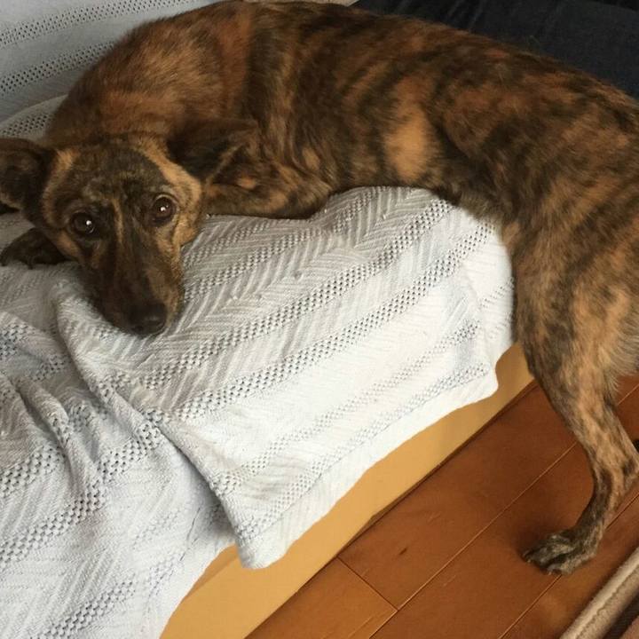 Bee063e0 4539 406f ac43 f09482df347d