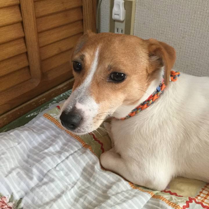 Bee0e334 5e6d 4f52 bb1b 2878b1bc9f98