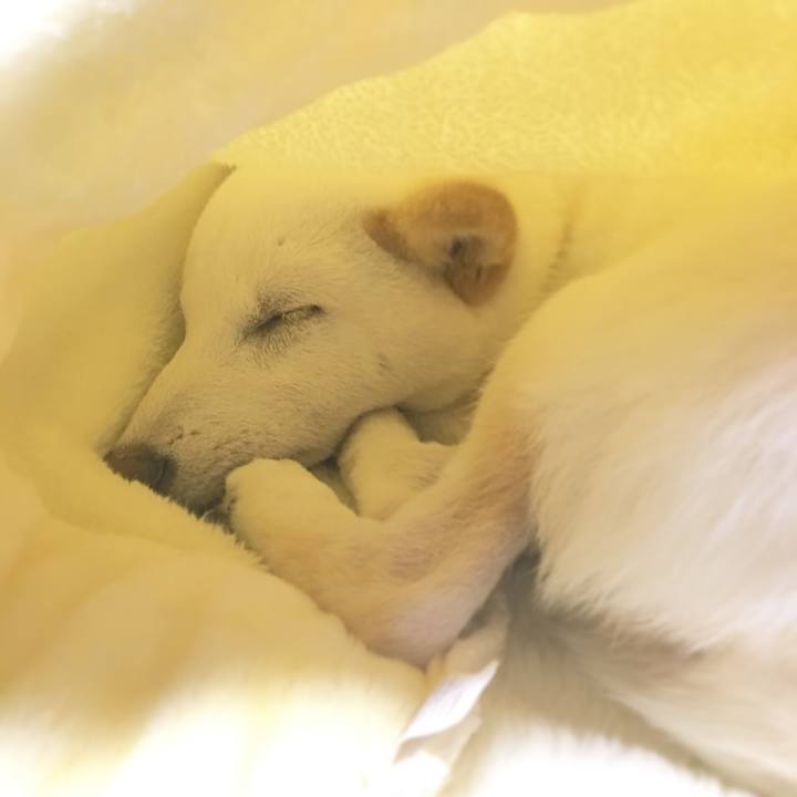 Bee15b7b 62e3 47ef 9a14 7e2196bb2668