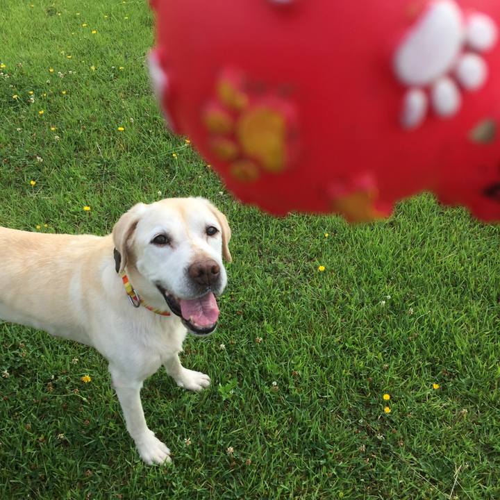 Bee1668d b2ca 4cf7 b474 17749fdd4083