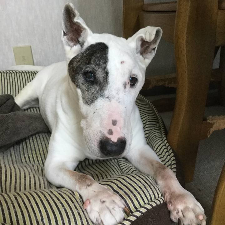 Bee17d42 de79 4c18 a508 efd02daeb469