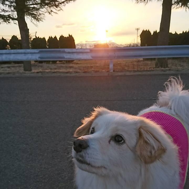 Bee18010 88ed 4db8 b7d7 42b721a822c2