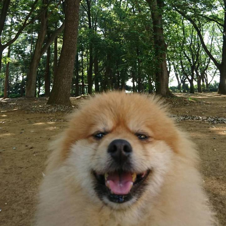 Bee228fe 2913 4876 a690 f83718e8afd8