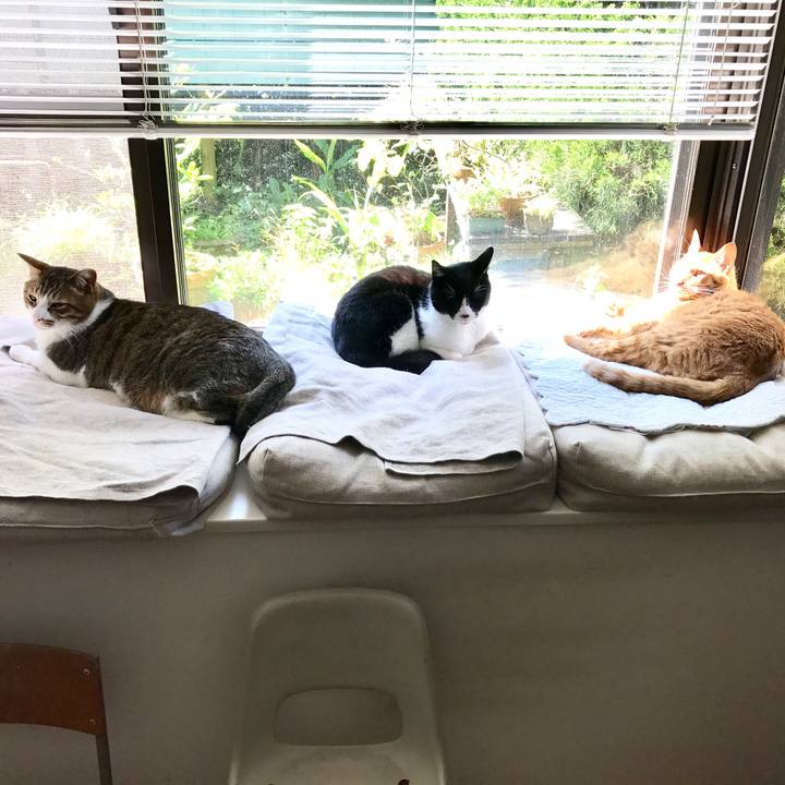 Bee25798 e269 4a9d 835f b5257161f44d