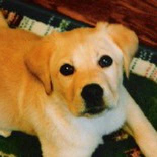 Bee28327 d8f9 44e4 bfa8 0518a3090740