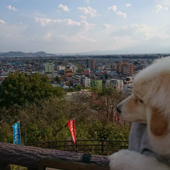 Bee30af0 d2bd 4fe5 8ba1 dcf5a3bae25e