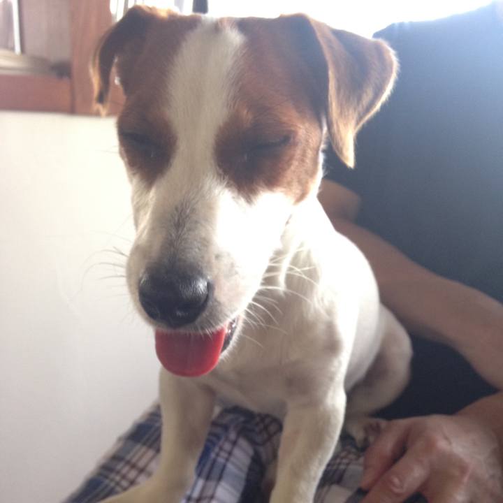 Bee3a40a f953 46f1 b401 d9a26b1f0ec3