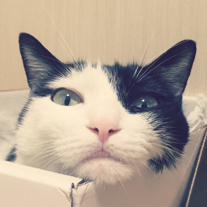 Bee4246f f61b 4096 9332 8487765b15f6