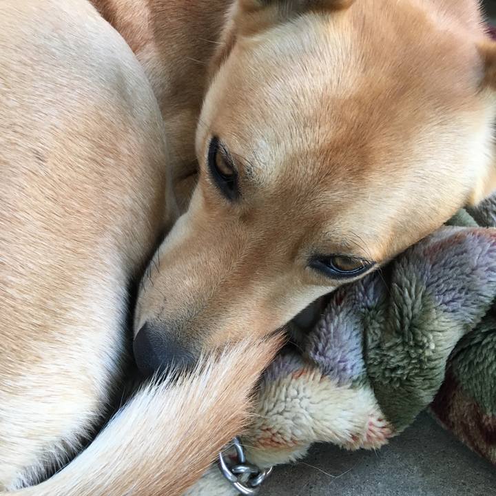 Bee4866f 9de2 4f96 89c5 8d712de07097