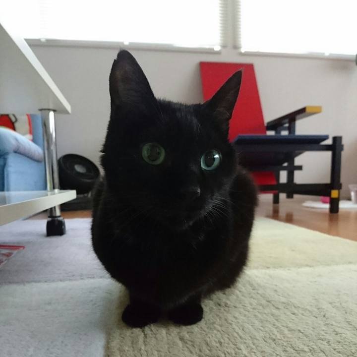 Bee4d642 89e0 47cf 9bae 1da698308e5d