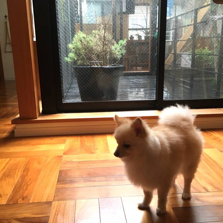 Bee5985e c41f 4201 b6cf d1f5727410c8