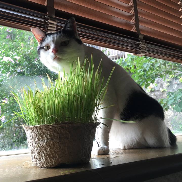 Bee59e1c f666 49cd b86f 4ddddd47f90c