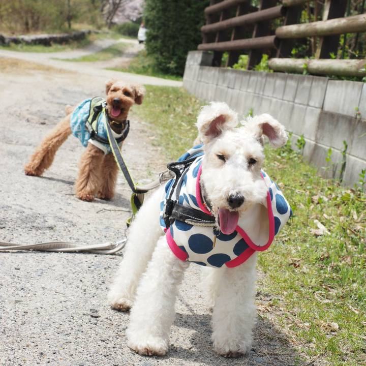 Bee61663 f580 4153 8400 932cbb43d401