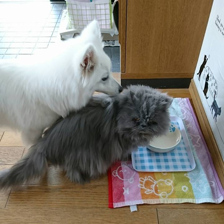 Bee619f2 07c8 48c8 b540 5d7348f23356